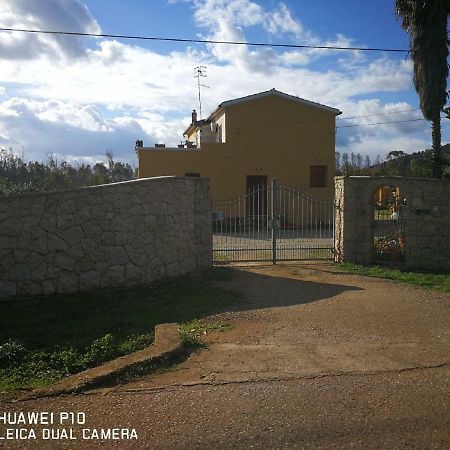فيرتيليا B&B Fiori Di Pesco المظهر الخارجي الصورة