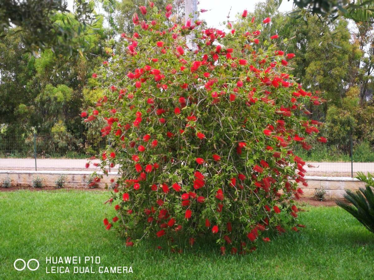 فيرتيليا B&B Fiori Di Pesco المظهر الخارجي الصورة